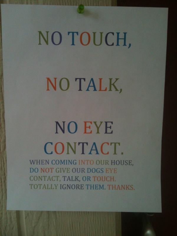 cesar millan no touch no talk no eye contact