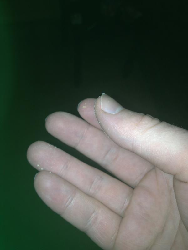 sioncrowle's tweet image. All scone! #properpronunciation #pichype