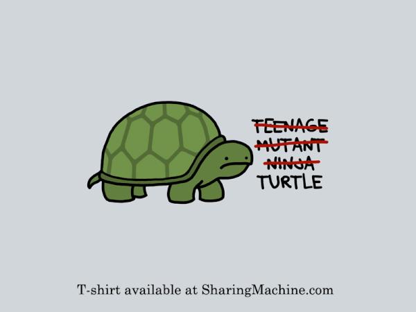 pterolaur's tweet image. In case of wardrobe crisis, break glass and order #turtle tee-shirt #sharingmachine #nataliedee