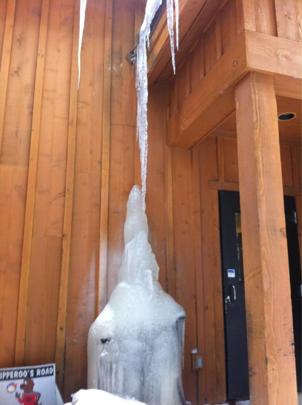AYoungUmp's tweet image. Crazy ice drip behind the Mountain Ops Building #MOB #SNOWfinally