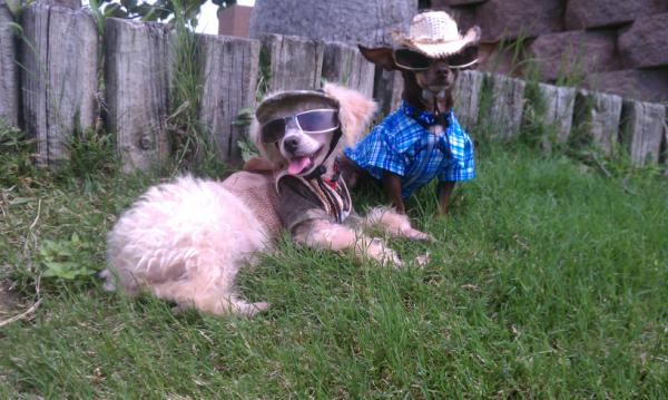 tilirin's tweet image. Gone fishing