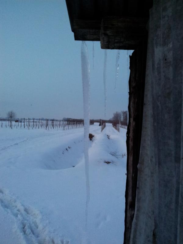 pf_sehnsucht's tweet image. Bellissimo il nuovo #spauracchio: &quot;#stalattiti assassine&quot;...