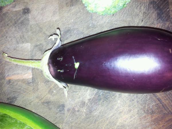 Kale_M's tweet photo. Why hello there Mr eggplant, how are you today? I'm fine thank you very much Kale! http://t.co/9eWCrCeH