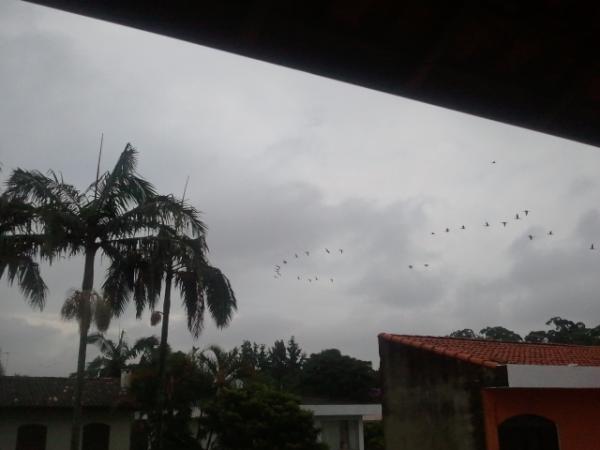 Leandroli's tweet photo. Mó revoada estilo fim do mundo rolou ontem no job. Não peguei nem 1% nessa foto http://t.co/hUAp6A4X