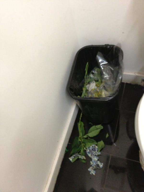 ashkalb's tweet photo. Someone threw out these flowers in the men's room at my office. Happy Valentines day! http://t.co/oDxA2JqG