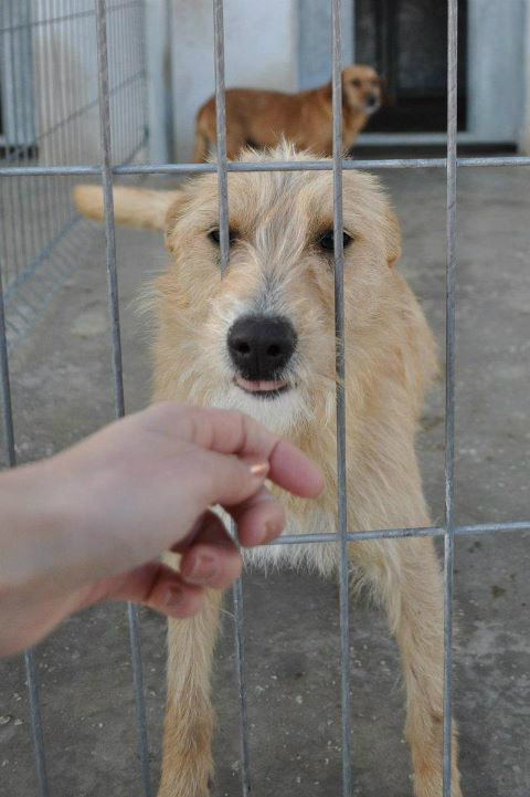 Animales Rioja tweet media