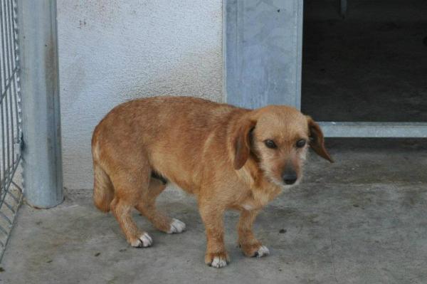 Animales Rioja tweet media