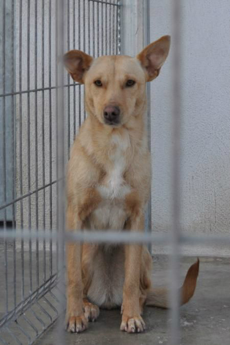 Animales Rioja tweet media