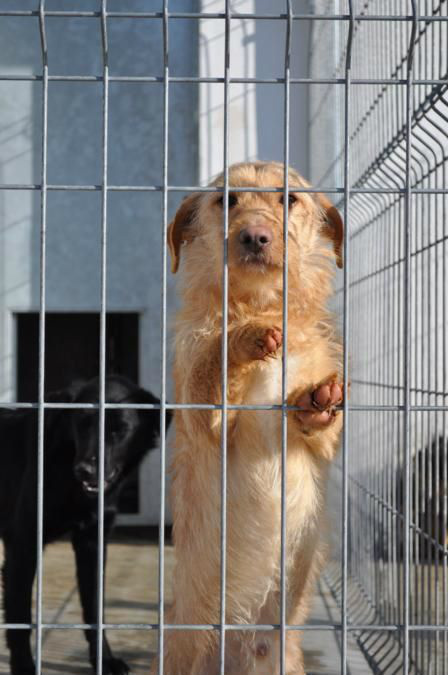 Animales Rioja tweet media