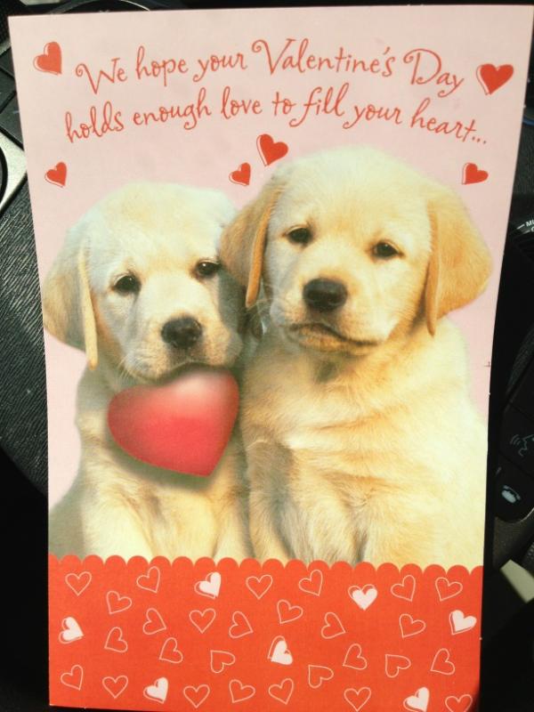 SusanChoiGolf's tweet photo. Happy Valentine's Day everyone. Can you feel the love tonight? http://t.co/R2KvkqXv