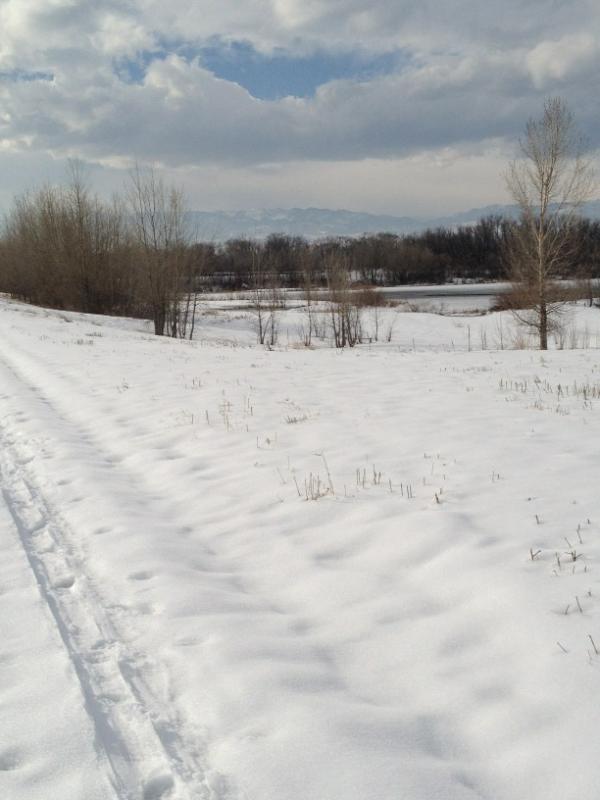 BocoRanger's tweet image. Still plenty of snow (for now!) at Walden Ponds.  Nice, sunny hike today!  #boco_trails