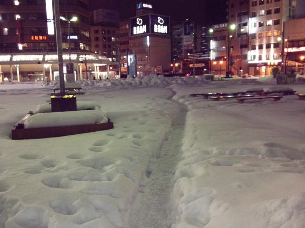nyamecoco's tweet photo. @chimaki2323 雪がすごいよー((((；ﾟДﾟ))))))) http://t.co/a8Wep0wl