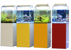 BAquaristic's tweet photo. La variedad de colores de las estructuras de Open reef permite dejar fluir nuestra imaginacion! http://t.co/xdFzOrRj