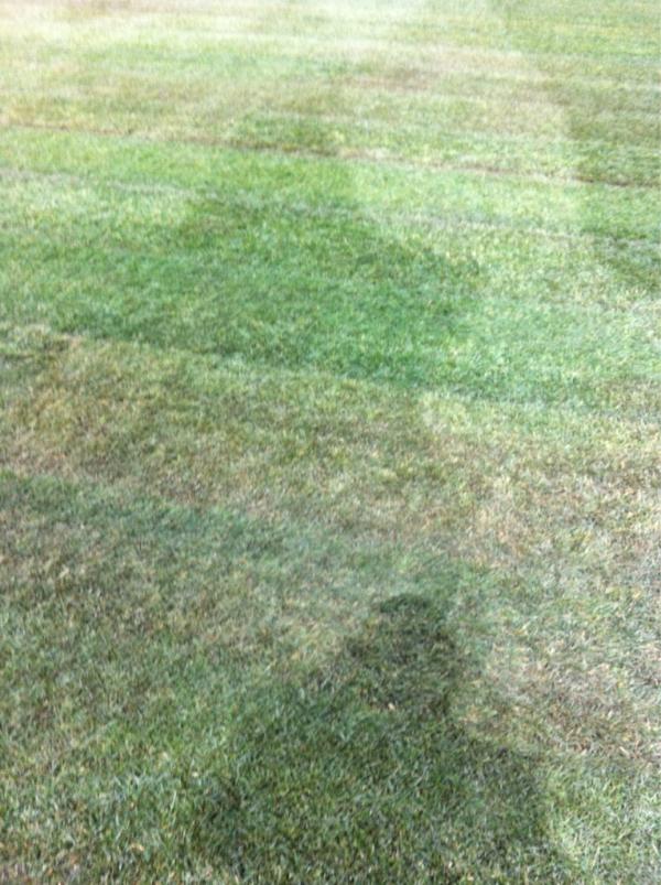 1DarrenTulett tweet picture