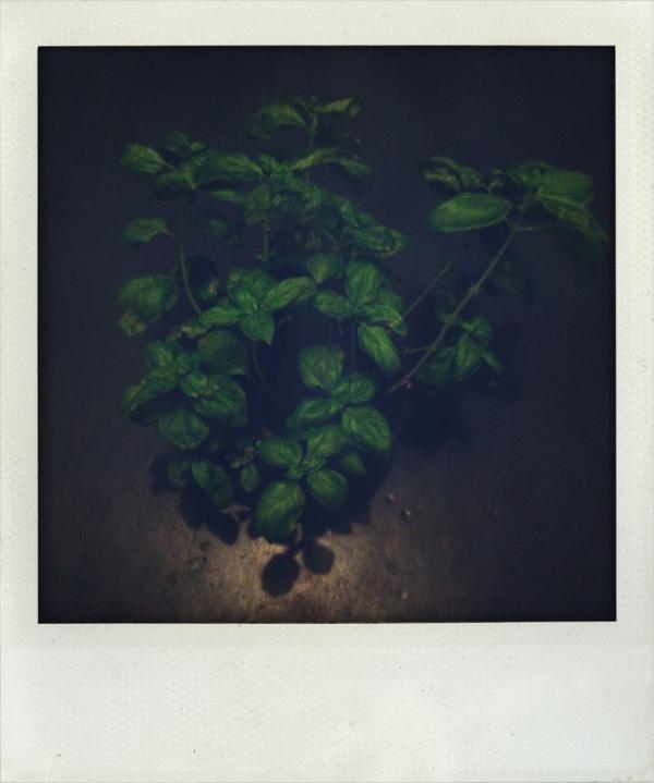 Danielgraph tweet picture