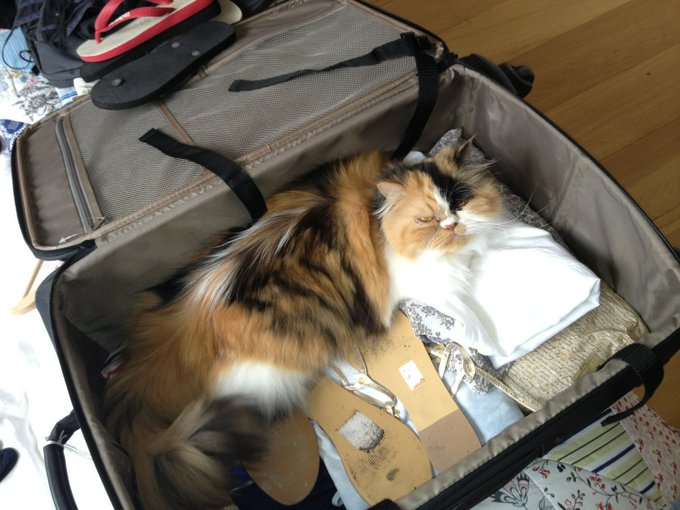 Really? Someone obviously thinks she is coming with! http://t.co/XlIL5i1W<a href="/tag/beauty"class="tags"><span>#beauty</span></a><a href="/tag/pamper"class="tags"><span>#pamper</span></a><a href="/tag/marksandspencer"class="tags"><span>#marksandspencer</span></a>