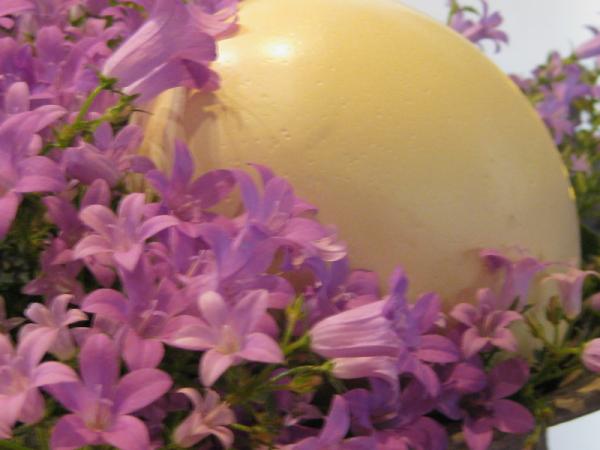 RHzurSonne's tweet photo. Der Frühling kommt... http://t.co/NFX3EaSn