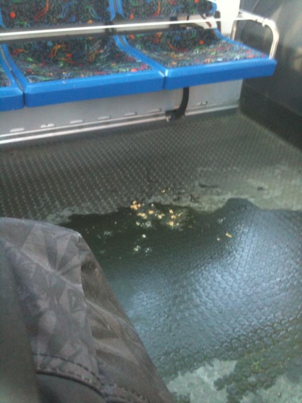Ashlyn13Albert's tweet image. How nice of someone to throw up on the bus! #transitproblems #smellsfabulous