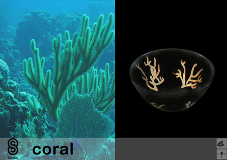CCSimoes's tweet image. CORAL in GOLD
ccsimoes.com