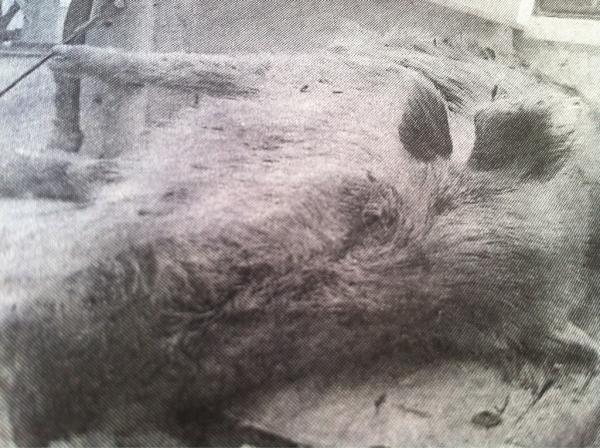 Guidedhunter tweet picture