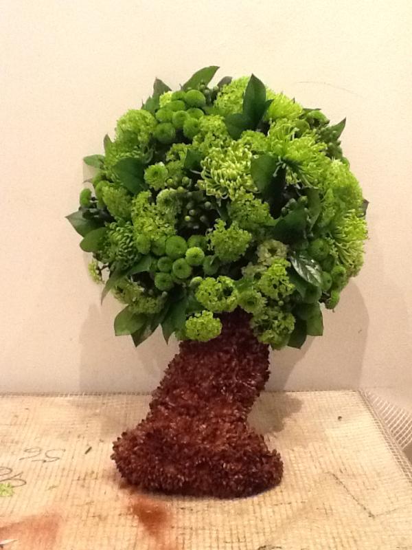 EllieBFlowers's tweet photo. http://t.co/XanWnpjT