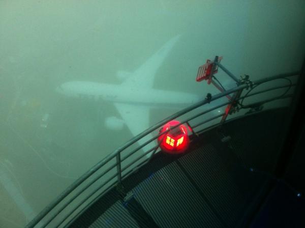 And from the tower #foggypic