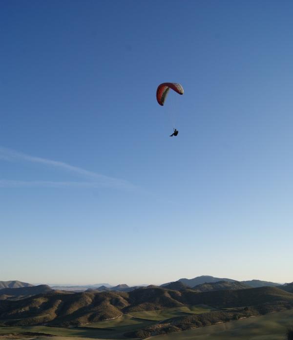 ¿Por qué contentarnos con vivir a rastras cuando sentimos el anhelo de volar?
