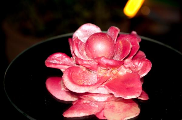 Chocolate Lotus Flower
