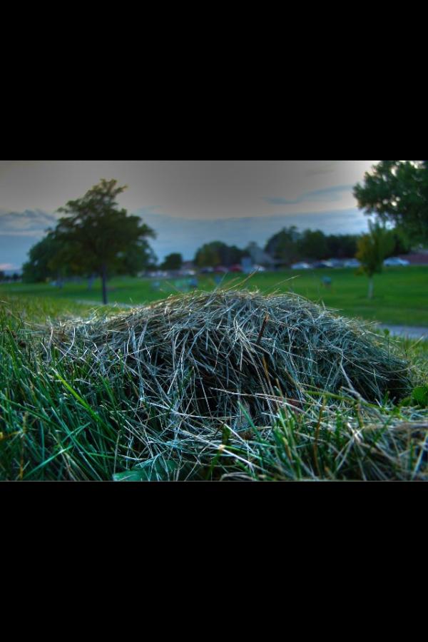 carolinajmoll's tweet image. @BStam_ we are so artsy. #teamwork #anthouse