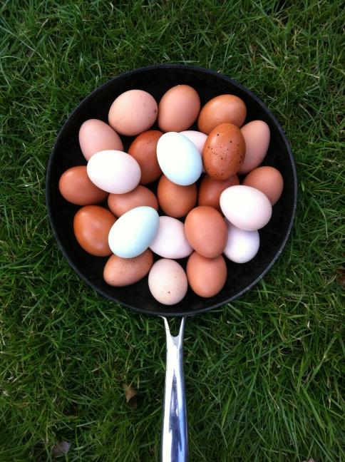 Forty days and forty nights.