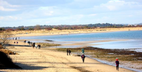 MarineConservZ's tweet photo. Photos from Studland Bay, Dorset http://t.co/lIKXv8qQ #photography #foto #photo #environment #MCZ #anchoring http://t.co/ADVFIuez