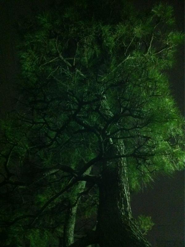 hiracon's tweet photo. http://t.co/QqjahrC1