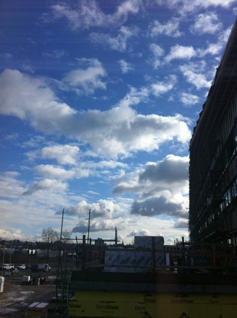 bitracket's tweet image. tweeeeeeeeet