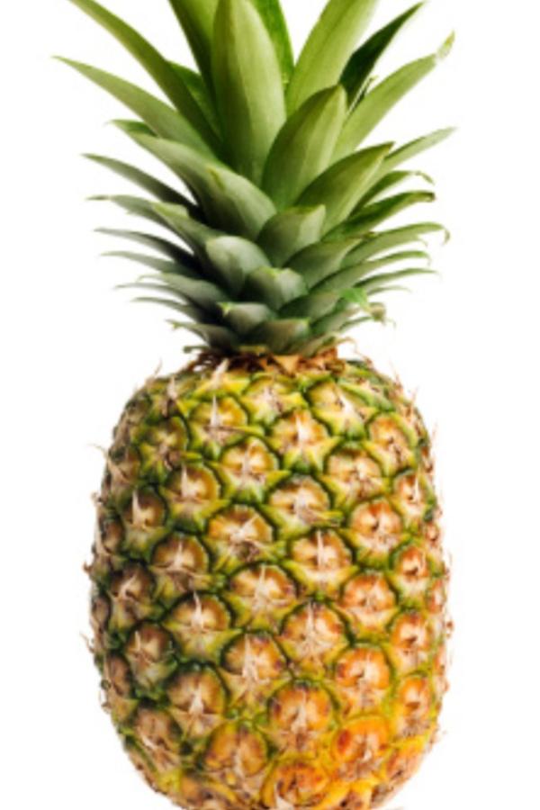 LadyLancerBench's tweet photo. Pineapple anyone....? @itsjor10 @hannahfin22 @Schneidss33 @cnorf03 @al_lee_GATOR @hippsta40 @kayhall24 @Dickenator21 http://t.co/13M36VWV