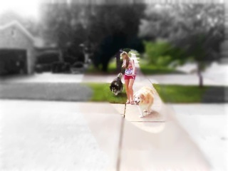 NicoletteMarie2's tweet photo. I'll keep you in my memories, I'll never forget the happiness we shared. http://t.co/DKHCD9iV