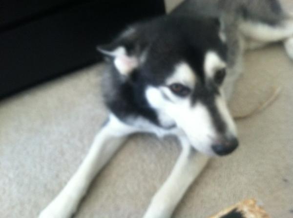 jaggerbytez's tweet image. What you looking at fool :)