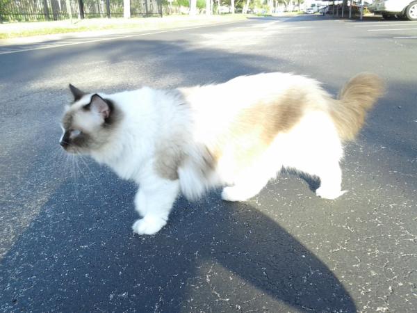 murphaderf's tweet photo. I, like outside land!  adventure time ! http://t.co/RhSgI5tc