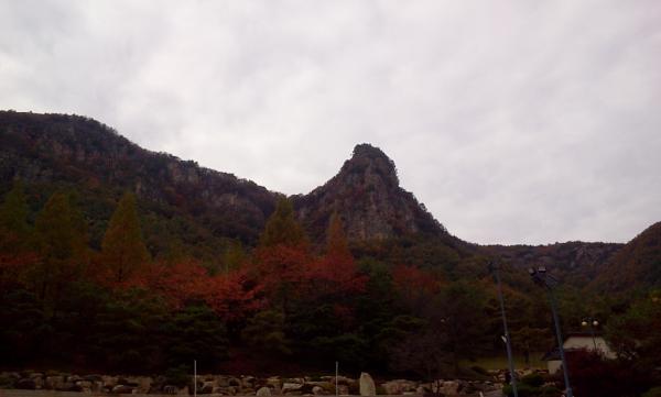 angelhouse69's tweet photo. http://t.co/EdMe0AhZ -- 엔젤 (@angelhouse69)
우리 모두 독수리가 날개를 펼치듯~,~
모두들 화이팅^^