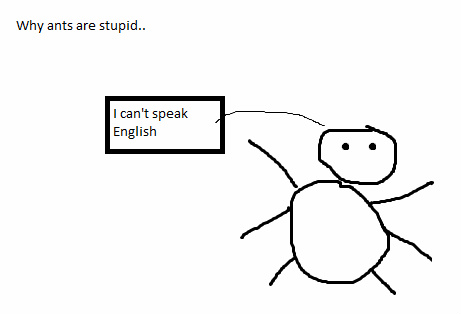 AntTime's tweet image. Why ants are stupid...