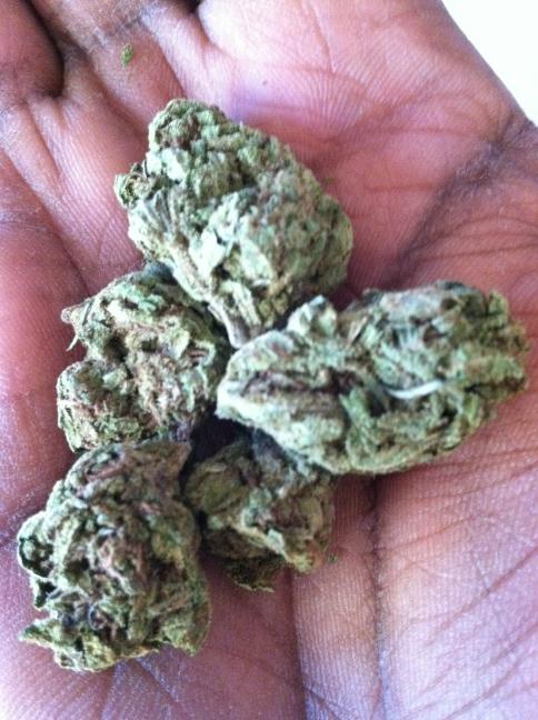 His_Highness901's tweet image. #RollDatShit My Ninja @TeeHustle...