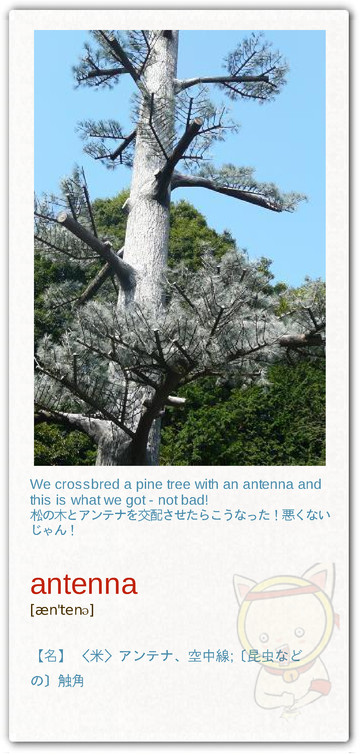 WardGosline9's tweet photo. 景観に配慮して、こんなデザインにしたのかもしれないけど、不自然だよ。ところで、携帯電話の電磁波に発がん性の恐れがある？5段階のリスク評価で、上から3番目なんだとか、原発より危険とか言ってる人もいるらしいよ…ホンマカイナー　 http://t.co/U6DUAy06