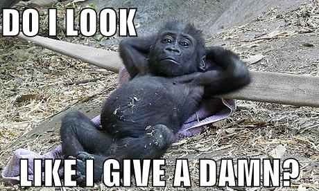 yesitsemmaa's tweet image. my whole Facebook timeline is "OMG GOT 1D TICKETS!!" and I'm just like... #1DTourTickets