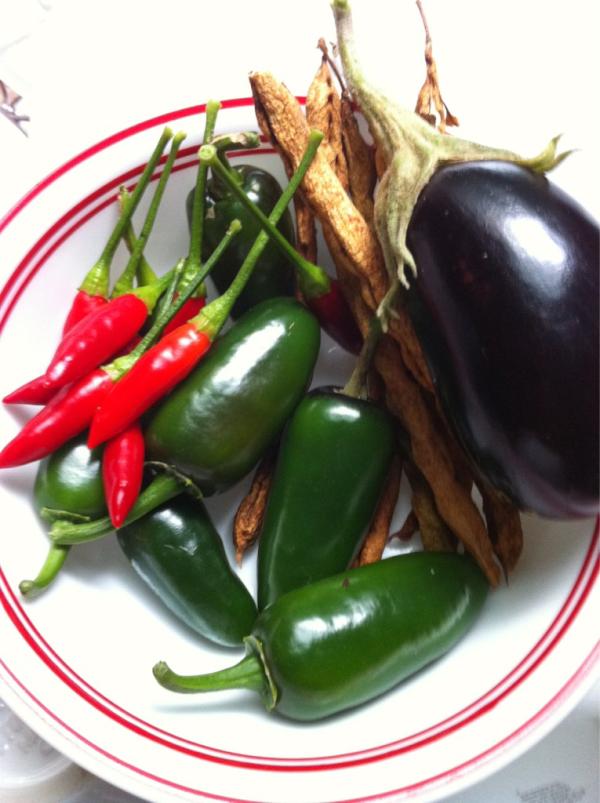 devise72's tweet image. The GARDEN