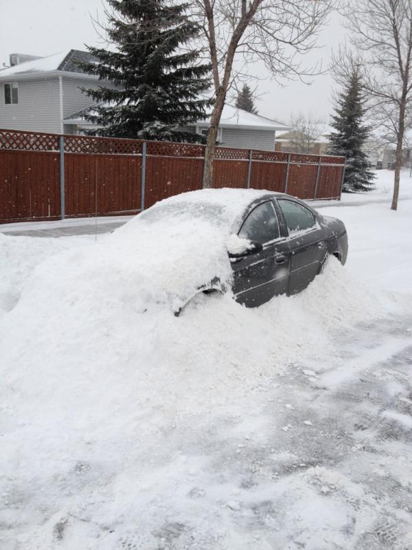 Tristan Jarry tweet media