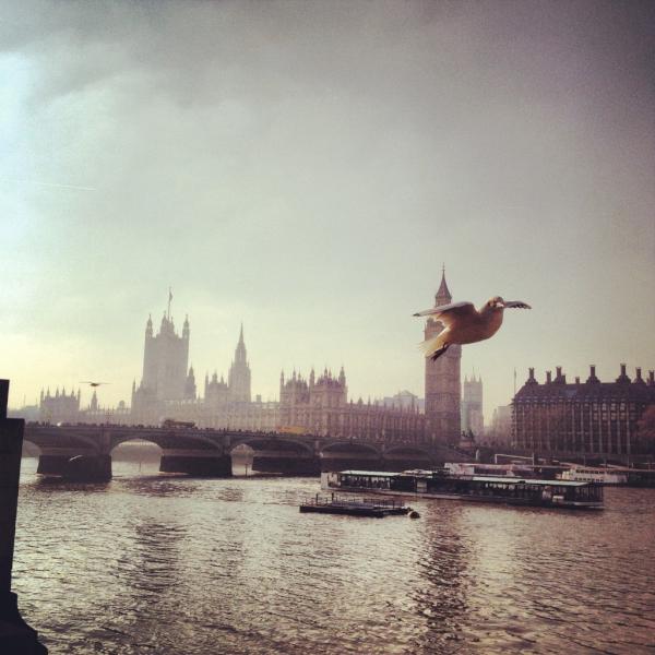 Mariana Rampazzo (@marirampazzo) on Twitter photo 