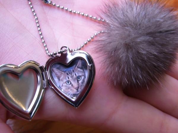PETMEMORYWORLD's tweet photo. You can make original key chain by pet's hair! http://t.co/MsoIt6ad