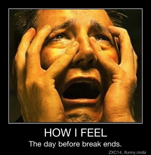 meg_vince's tweet image. my expression today #hsproblems