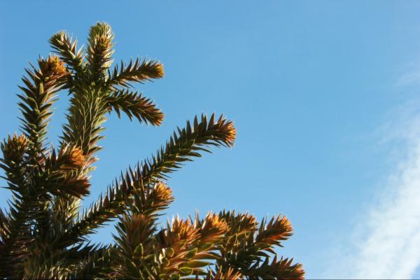 mettekliimdue's tweet photo. mette.kliimdue http://t.co/l34LXSyA