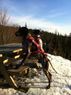 After a sunny weekend, it's snowing in Oslo! Still good conditions, so get your Non-stop equipment and go skiing:)