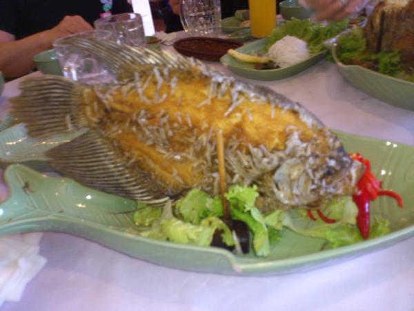 Ma3 お昼ご飯は ミトー 名物のエレファントフィッシュ ほぐして生春巻にして頂きました ボールみたいに揚げたふうせん餅が美味しかったです Http T Co Wp5ubxkt Ma3 お昼ご飯は ミトー 名物のエレファントフィッシュ ほぐして生春巻にして頂きました ボールみたいに揚げたふうせん餅が美味しかったです Http T Co Wp5ubxkt